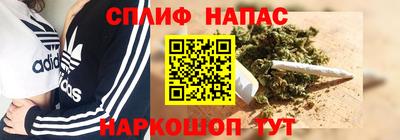 шишки Апшеронск