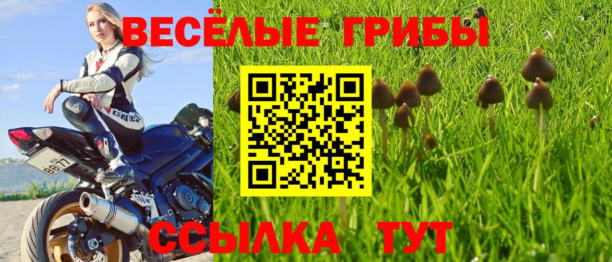 Псилоцибиновые грибы мухоморы  купить  цена  Вход с VPN  Асбест  Галлюциногенные грибы MAGIC MUSHROOMS 